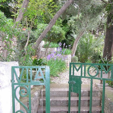 Villa Miomir ดูบรอฟนิก ภายนอก รูปภาพ